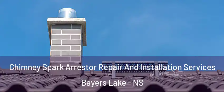  Chimney Spark Arrestor Repair And Installation Services Bayers Lake - NS