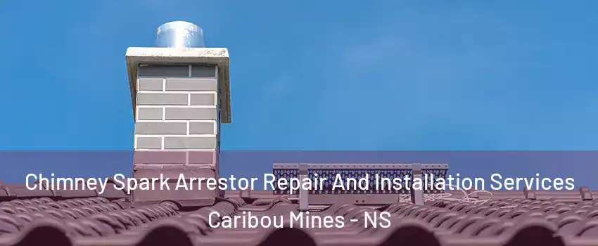 Chimney Spark Arrestor Repair And Installation Services Caribou Mines - NS