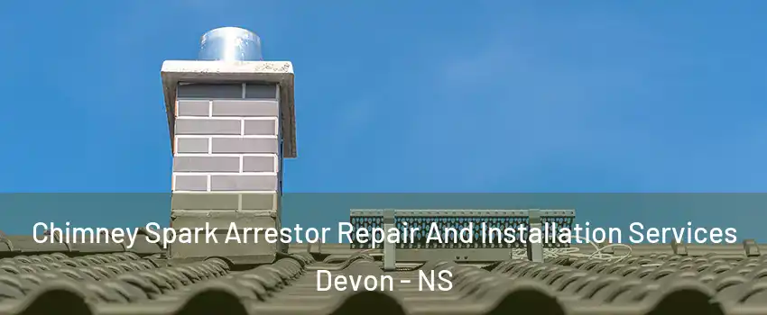  Chimney Spark Arrestor Repair And Installation Services Devon - NS