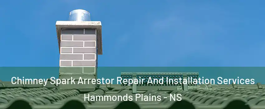  Chimney Spark Arrestor Repair And Installation Services Hammonds Plains - NS