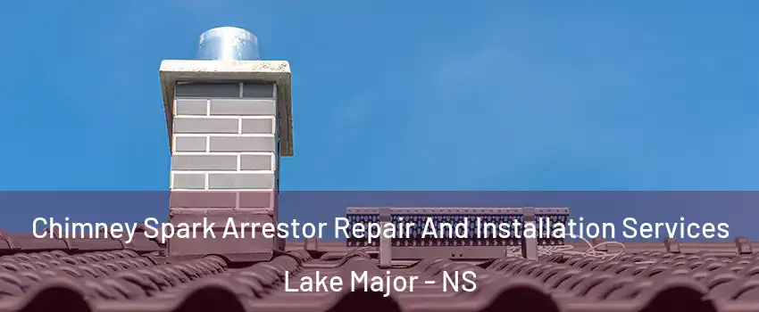  Chimney Spark Arrestor Repair And Installation Services Lake Major - NS