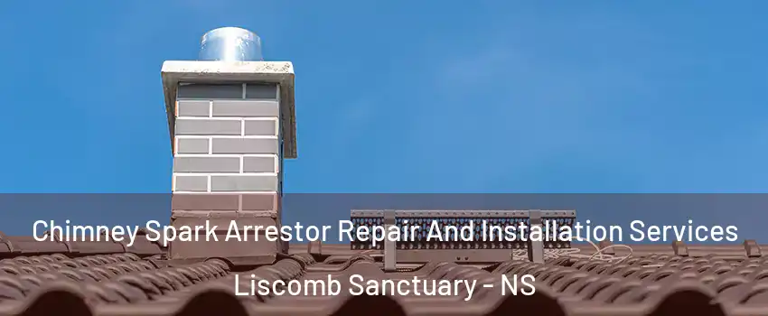  Chimney Spark Arrestor Repair And Installation Services Liscomb Sanctuary - NS