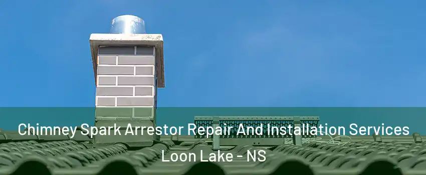  Chimney Spark Arrestor Repair And Installation Services Loon Lake - NS