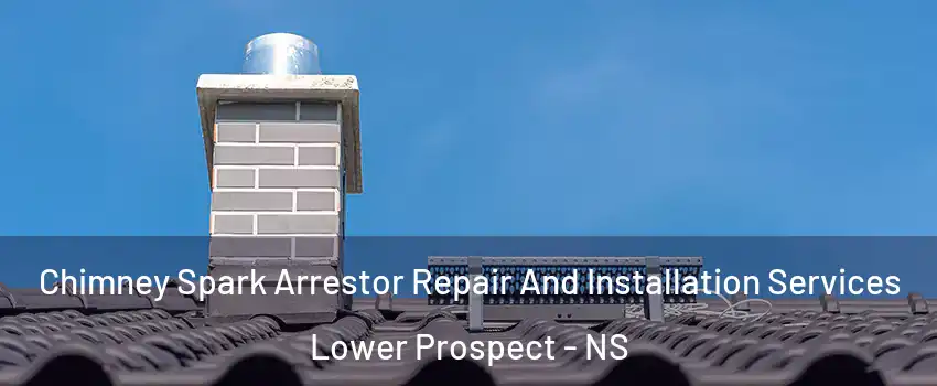  Chimney Spark Arrestor Repair And Installation Services Lower Prospect - NS