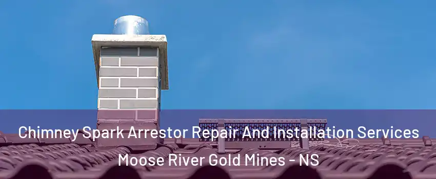  Chimney Spark Arrestor Repair And Installation Services Moose River Gold Mines - NS