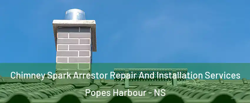  Chimney Spark Arrestor Repair And Installation Services Popes Harbour - NS