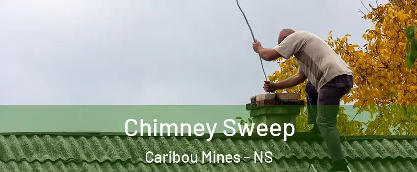  Chimney Sweep Caribou Mines - NS