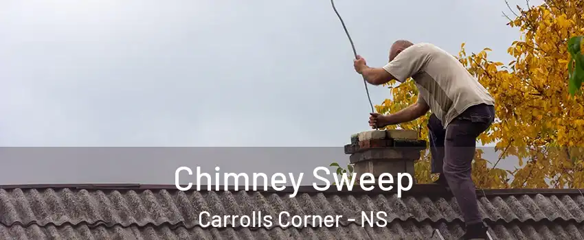  Chimney Sweep Carrolls Corner - NS