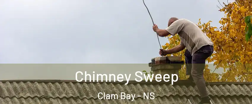  Chimney Sweep Clam Bay - NS