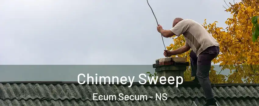  Chimney Sweep Ecum Secum - NS