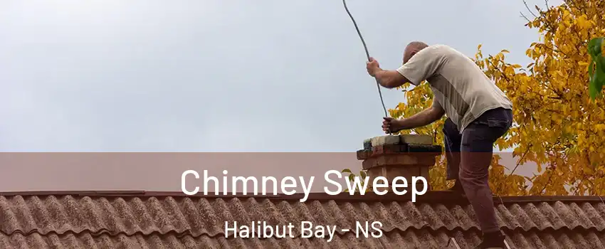  Chimney Sweep Halibut Bay - NS