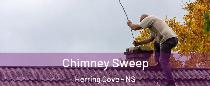  Chimney Sweep Herring Cove - NS