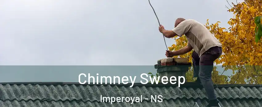  Chimney Sweep Imperoyal - NS