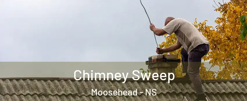  Chimney Sweep Moosehead - NS