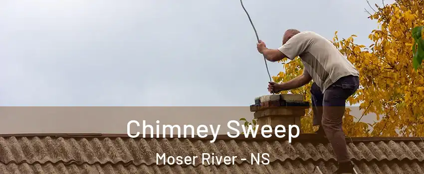  Chimney Sweep Moser River - NS