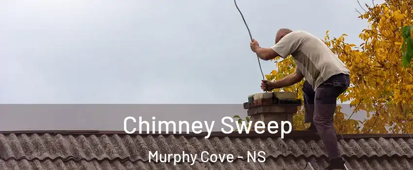  Chimney Sweep Murphy Cove - NS