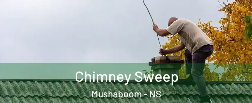  Chimney Sweep Mushaboom - NS