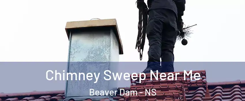  Chimney Sweep Near Me Beaver Dam - NS
