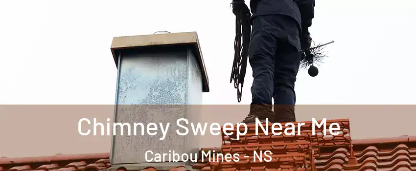  Chimney Sweep Near Me Caribou Mines - NS
