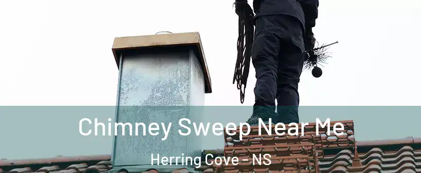  Chimney Sweep Near Me Herring Cove - NS
