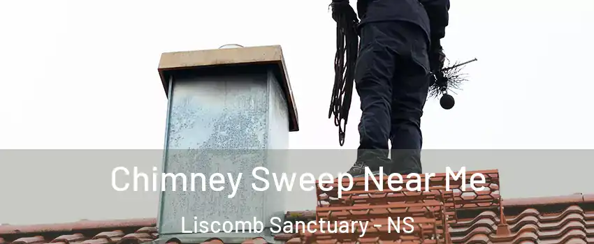  Chimney Sweep Near Me Liscomb Sanctuary - NS