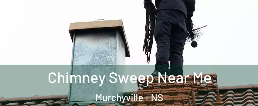  Chimney Sweep Near Me Murchyville - NS