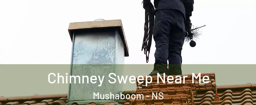  Chimney Sweep Near Me Mushaboom - NS