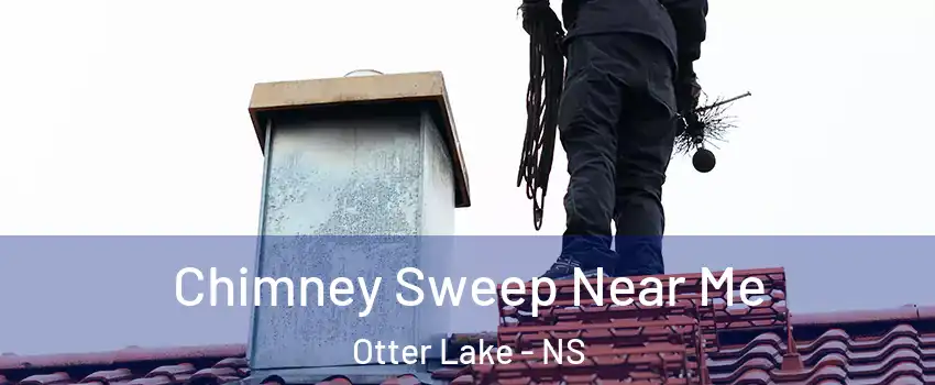  Chimney Sweep Near Me Otter Lake - NS