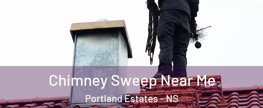 Chimney Sweep Near Me Portland Estates - NS