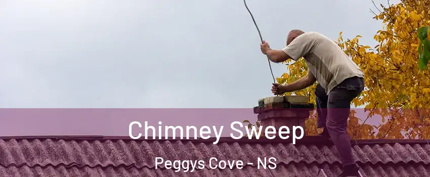  Chimney Sweep Peggys Cove - NS