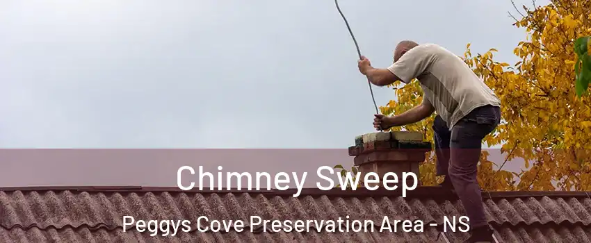  Chimney Sweep Peggys Cove Preservation Area - NS