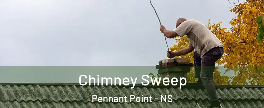  Chimney Sweep Pennant Point - NS