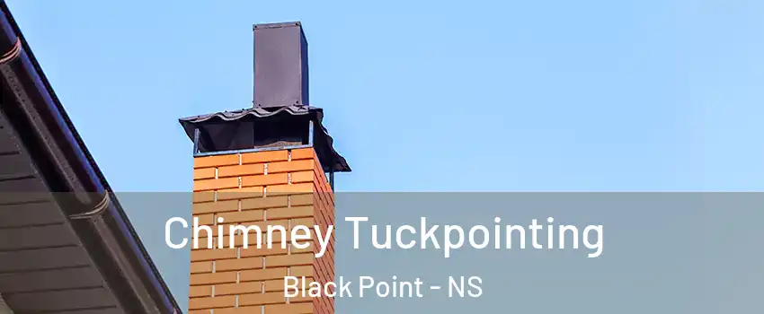  Chimney Tuckpointing Black Point - NS