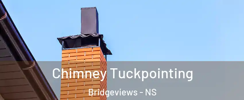  Chimney Tuckpointing Bridgeviews - NS