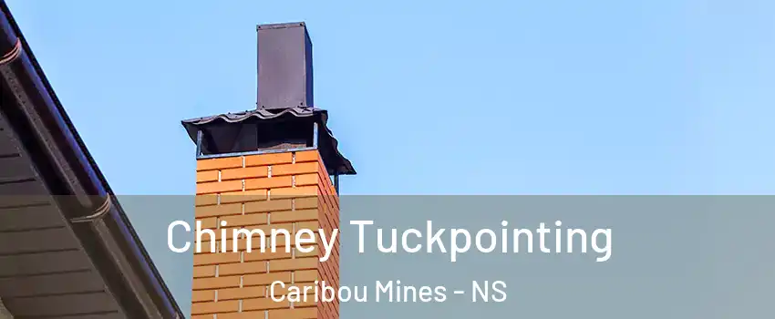  Chimney Tuckpointing Caribou Mines - NS