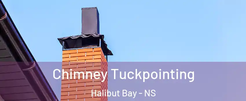  Chimney Tuckpointing Halibut Bay - NS