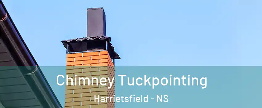  Chimney Tuckpointing Harrietsfield - NS