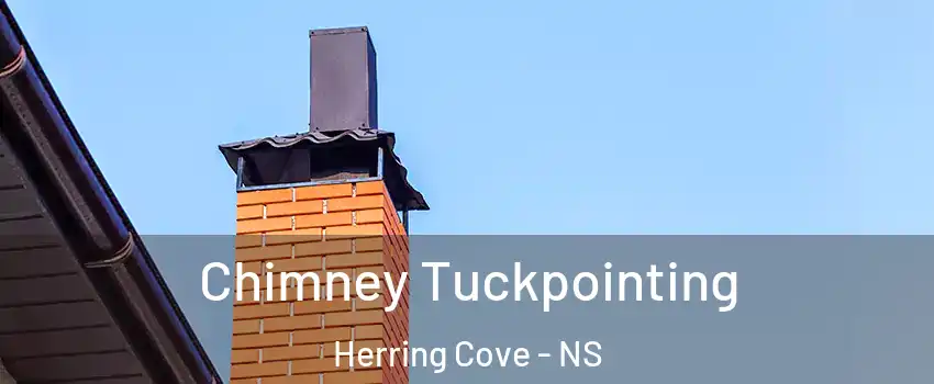  Chimney Tuckpointing Herring Cove - NS