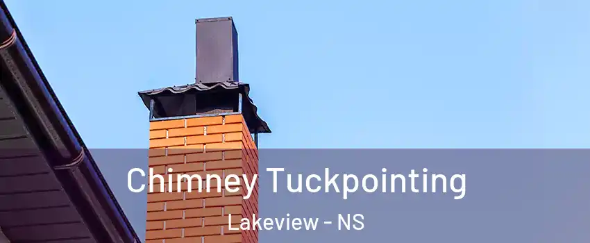  Chimney Tuckpointing Lakeview - NS