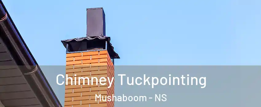  Chimney Tuckpointing Mushaboom - NS