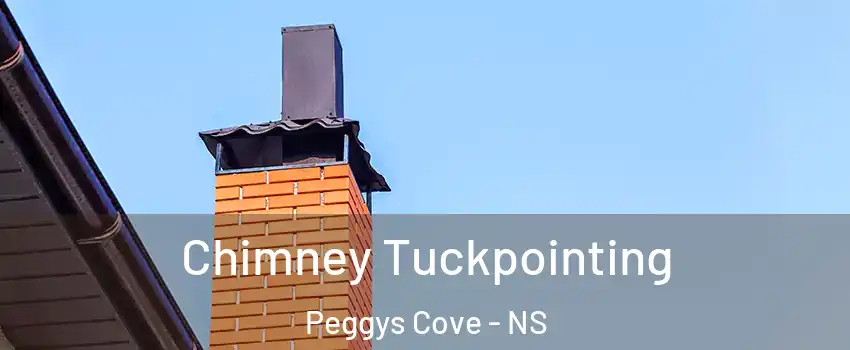  Chimney Tuckpointing Peggys Cove - NS