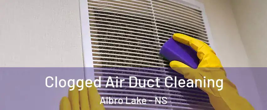  Clogged Air Duct Cleaning Albro Lake - NS