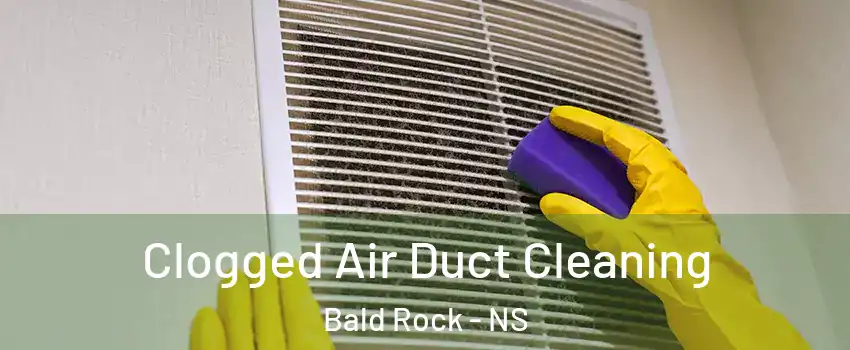  Clogged Air Duct Cleaning Bald Rock - NS
