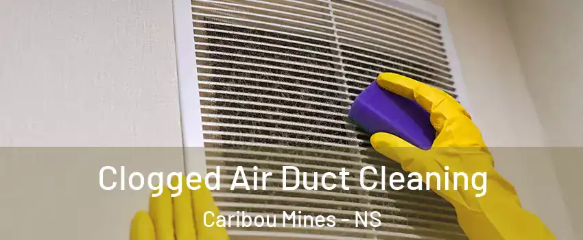  Clogged Air Duct Cleaning Caribou Mines - NS
