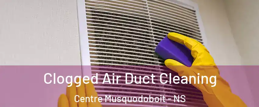  Clogged Air Duct Cleaning Centre Musquodoboit - NS