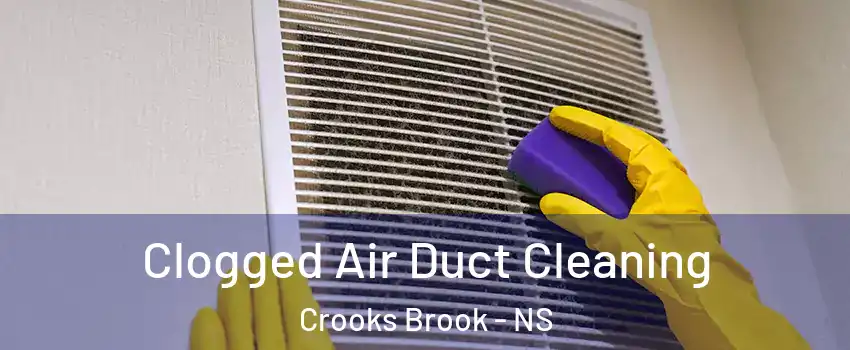  Clogged Air Duct Cleaning Crooks Brook - NS