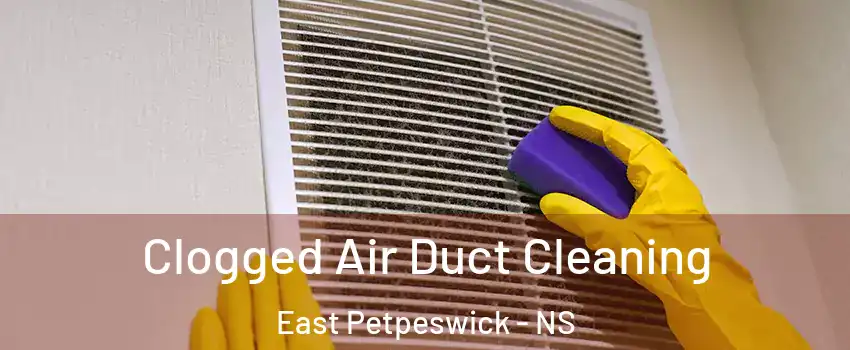  Clogged Air Duct Cleaning East Petpeswick - NS