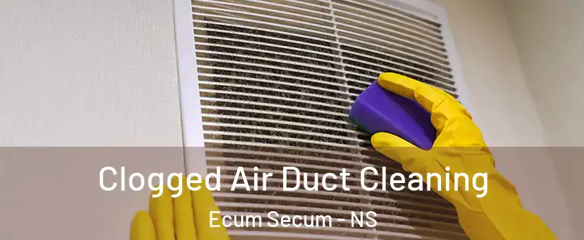  Clogged Air Duct Cleaning Ecum Secum - NS