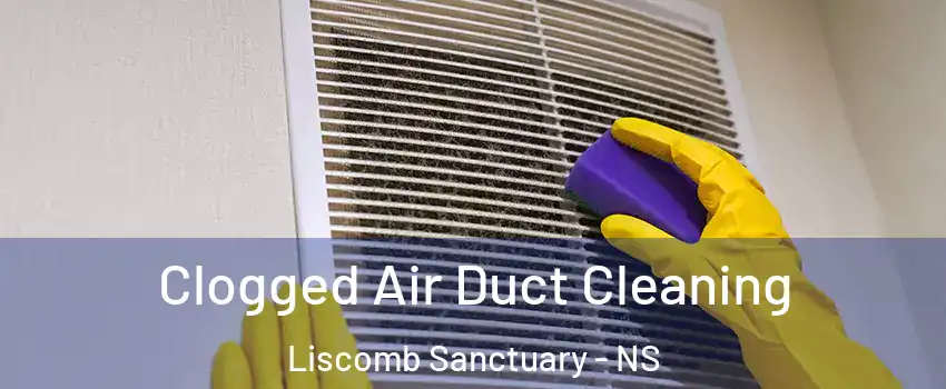  Clogged Air Duct Cleaning Liscomb Sanctuary - NS