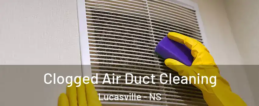  Clogged Air Duct Cleaning Lucasville - NS